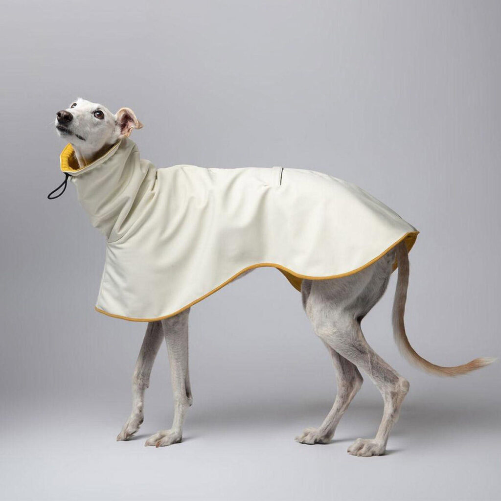Custom design dog raincoat