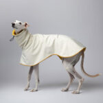 Custom design dog raincoat