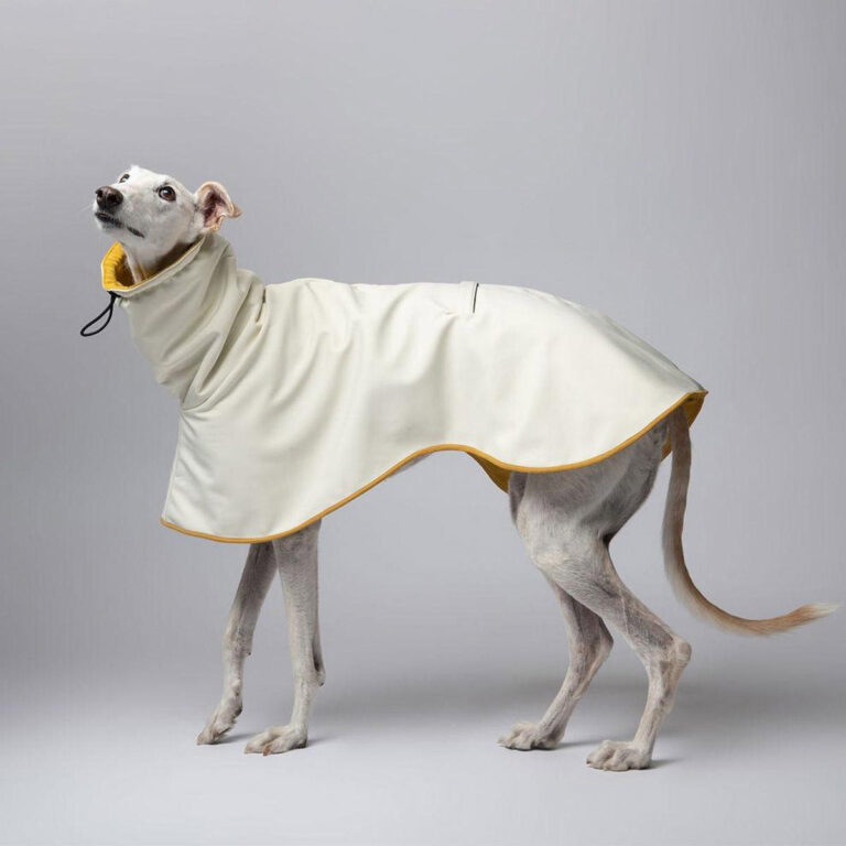 Custom design dog raincoat