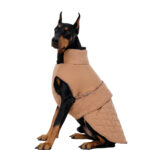 Dog coat